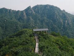 -大岭沟猕猴桃谷风景区