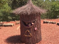 -北京西山国家森林公园