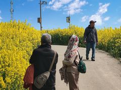 -三圣花乡旅游区