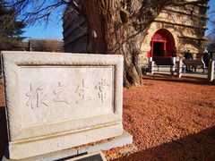 -北京石刻艺术博物馆(五塔寺)