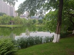 -沐仙湖湿地公园