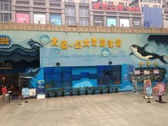 -太奥幻太奇海洋馆