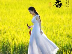 -光明小镇欢乐田园