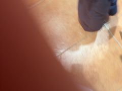 -百年银屏蚝烙·潮汕菜·非遗(乐山店)