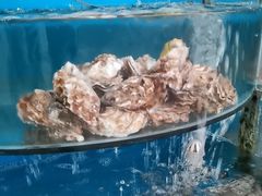 -沿海渔家院海鲜烧烤·东北菜(东戴河店)