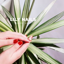 -LILY NAILS美甲美睫