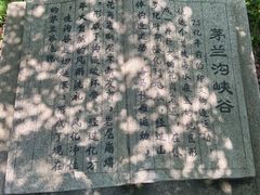 -茅兰沟国家森林公园