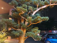 门面-德胜轩正宗顺德菜(宝安沙井会展中心店)