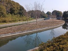 -蠡湖大桥公园