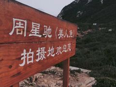 -杨梅坑