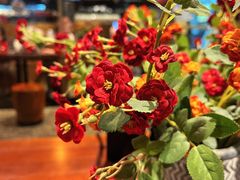 -Sunflour(来福士店)