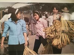 -平原博物院