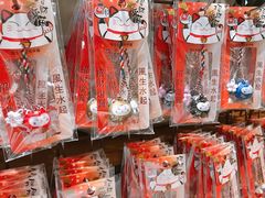 -猫咪博物馆(顶澳仔猫街店)