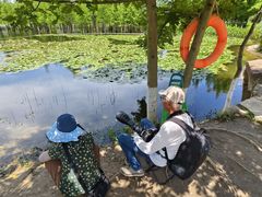 -白鹭湾湿地公园