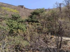 -慕田峪长城