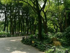 -共青国家森林公园-售票处