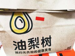 -油梨树AVOCADO TREE(望京店)