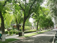 -中国农业博物馆