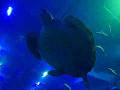 -成都浩海立方海洋公园