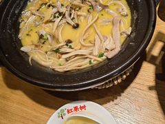 -红果树(江光店)