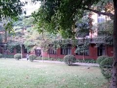 -中山大学学者灵芝(园南路店)