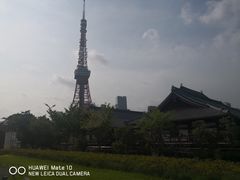 -东京塔海贼王主题公园