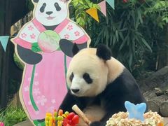 -大连森林动物园