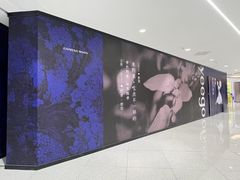 -国芳中心