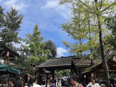 -青城甲(青城山店)