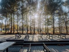 -上海海湾国家森林公园