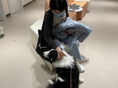 -立德动物医院·24小时中心(番禺区院区)