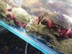 -四海蒸鲜蒸汽海鲜自助(北戴河店)