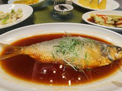 -同济大酒店(绿宝广场店)