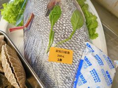 -日丰园海肠水饺·老字号大连海鲜(小平岛总店)