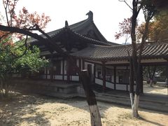-西安青龙寺遗址景区