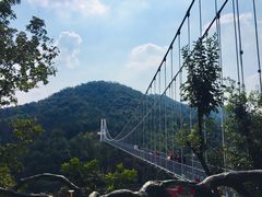 景点-石燕湖生态旅游景区