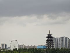 -洋湖国家湿地公园