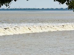 -观潮胜地公园