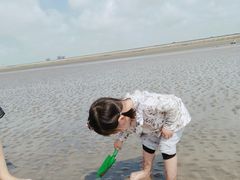 -南汇嘴观海公园