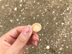 -厦门五通客运码头