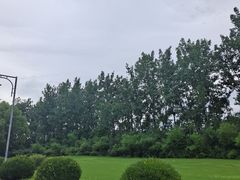 -银涛高尔夫练习场(徐泾店)