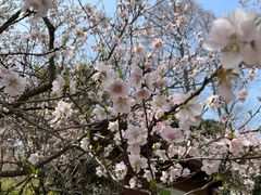 -苏州上方山国家森林公园