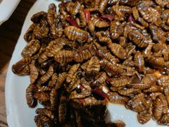 -木柴豆腐·活海鲜·鲁菜(岚山路店)