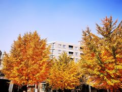 -辽宁大学(崇山校区)
