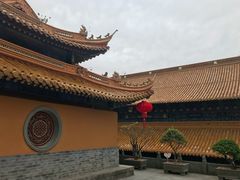 -普陀山风景名胜区-法雨禅寺