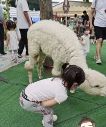 -萌宠亲子动物乐园(槐房万达店)