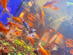 -蚝翅·海鲜粥·烧烤·龙虾季(海曙天一店)
