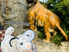 -杭州野生动物世界