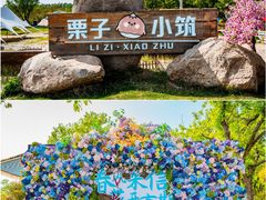 -沂蒙山旅游区龟蒙景区