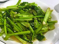 -煲来饱去冷水鱼